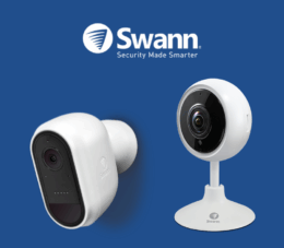 Swann